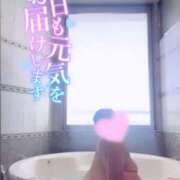 エア ✨出勤✨ ちゃんこ本厚木店