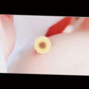 ヒメ日記 2026/02/19 07:26 投稿 つむぎ セレブクエスト-koshigaya-