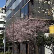 ヒメ日記 2026/03/24 18:47 投稿 まちこ 神田ハンドメイド