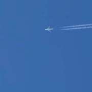 のの 😭💦 池袋角海老