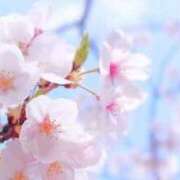 ヒメ日記 2026/03/27 21:33 投稿 のの 池袋角海老