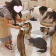 ヒメ日記 2026/04/18 17:33 投稿 ともみ 吉原ファーストレディ