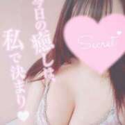 ヒメ日記 2026/05/14 06:56 投稿 ともみ 吉原ファーストレディ