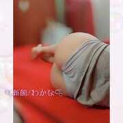 ヒメ日記 2026/09/21 14:21 投稿 わかな 鎌倉御殿 新館