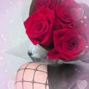 ヒメ日記 2026/03/09 15:21 投稿 紫藤(しどう) 熟女出逢い会 『百合の園』 五反田店