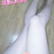 ヒメ日記 2026/02/18 15:45 投稿 むつき with SPA (ウィズスパ)