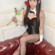 ヒメ日記 2026/03/12 10:01 投稿 らら JAPAN CLUB BUNNY LOUNGE