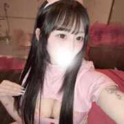 ヒメ日記 2026/04/03 11:58 投稿 らら JAPAN CLUB BUNNY LOUNGE