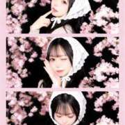 ヒメ日記 2026/04/10 12:07 投稿 らら JAPAN CLUB BUNNY LOUNGE