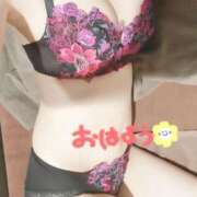 ヒメ日記 2026/08/12 08:45 投稿 桐野　るか プルプル人妻専門店
