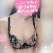 ヒメ日記 2026/09/08 11:52 投稿 桐野　るか プルプル人妻専門店