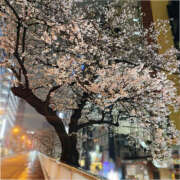 ヒメ日記 2026/03/26 11:45 投稿 すず DEEP BLACK