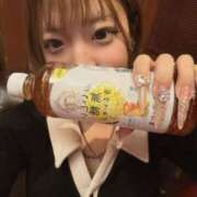 ヒメ日記 2026/02/16 20:55 投稿 あおば One More奥様　横浜関内店