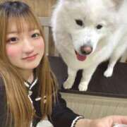 ヒメ日記 2026/03/08 12:10 投稿 あおば One More奥様　横浜関内店