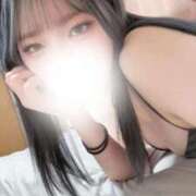 ヒメ日記 2026/02/19 01:22 投稿 うさぎ ダイスキ