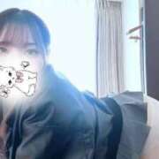 うさぎ ねこみたいな ダイスキ