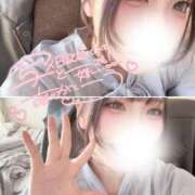 ヒメ日記 2026/03/11 21:37 投稿 うさぎ ダイスキ