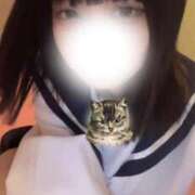 ヒメ日記 2026/03/08 08:12 投稿 アル ファーストレディー