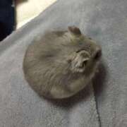 キリカ キリカです✰ ハピネス＆ドリーム福岡