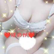 ヒメ日記 2026/02/21 09:40 投稿 ほのか 夜這い茶屋 はなれ