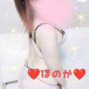 ヒメ日記 2026/02/22 11:34 投稿 ほのか 夜這い茶屋 はなれ