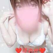 ヒメ日記 2026/02/23 05:30 投稿 ほのか 夜這い茶屋 はなれ