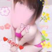 ヒメ日記 2026/02/23 12:08 投稿 ほのか 夜這い茶屋 はなれ