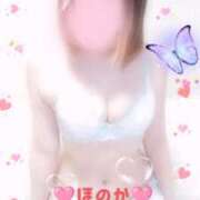 ヒメ日記 2026/03/04 16:47 投稿 ほのか 夜這い茶屋 はなれ