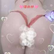 ヒメ日記 2026/03/14 09:19 投稿 ほのか 夜這い茶屋 はなれ