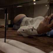 ヒメ日記 2026/02/25 00:05 投稿 ウサギ ピカソ