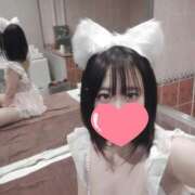 ヒメ日記 2026/03/20 12:35 投稿 ウサギ ピカソ