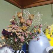 ヒメ日記 2026/04/04 08:31 投稿 ウサギ ピカソ