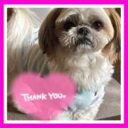 ヒメ日記 2026/02/25 19:33 投稿 みくり 甲府人妻隊