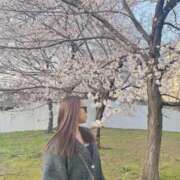 ヒメ日記 2026/04/01 16:19 投稿 恋乃　ひびき OLピンクコレクション