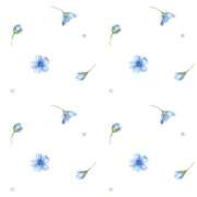 ヒメ日記 2026/03/16 09:34 投稿 綾波 (あやなみ) 大牟田デリヘル倶楽部