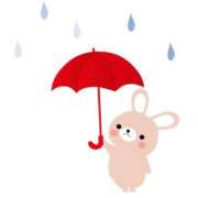 ヒメ日記 2026/03/31 15:56 投稿 北川 熟女の風俗最終章 新横浜店