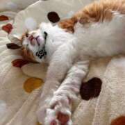 ヒメ日記 2026/03/05 14:10 投稿 いお ワンダフル