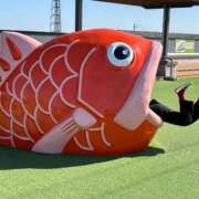 ヒメ日記 2026/04/26 08:58 投稿 いお ワンダフル