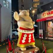ヒメ日記 2026/09/14 08:58 投稿 いお ワンダフル
