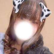 ヒメ日記 2026/04/06 23:25 投稿 せな つまみぐいイケちゃいますよ！