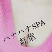 ヒメ日記 2026/02/25 17:31 投稿 紅葉☆STANDARD ハナハナSPA〜花華〜