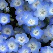 三葉ゆら おはようございます アラフォーna奥様 アラフィフna奥様（埼玉ハレ系）