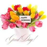 ヒメ日記 2026/03/25 09:03 投稿 三葉ゆら アラフォーna奥様 アラフィフna奥様（埼玉ハレ系）