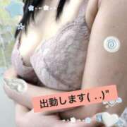 ヒメ日記 2026/03/13 09:39 投稿 きたざわ 小田原人妻城