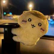 ヒメ日記 2026/03/25 10:09 投稿 愛依【アイ】 輝女