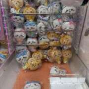 ヒメ日記 2026/03/27 16:29 投稿 愛依【アイ】 輝女