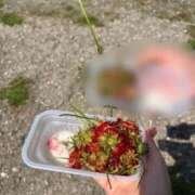 ヒメ日記 2026/03/29 20:57 投稿 ひめか 白いぽっちゃりさん錦糸町店