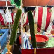 ヒメ日記 2026/10/04 12:47 投稿 ひめか 白いぽっちゃりさん錦糸町店