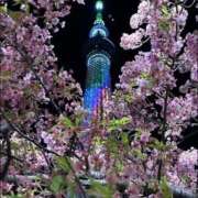 ヒメ日記 2026/03/08 19:19 投稿 永瀬もも ザイオン 会員制アロマエステ