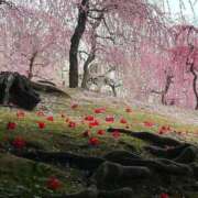 ヒメ日記 2026/02/23 17:02 投稿 まどか 熟女総本店